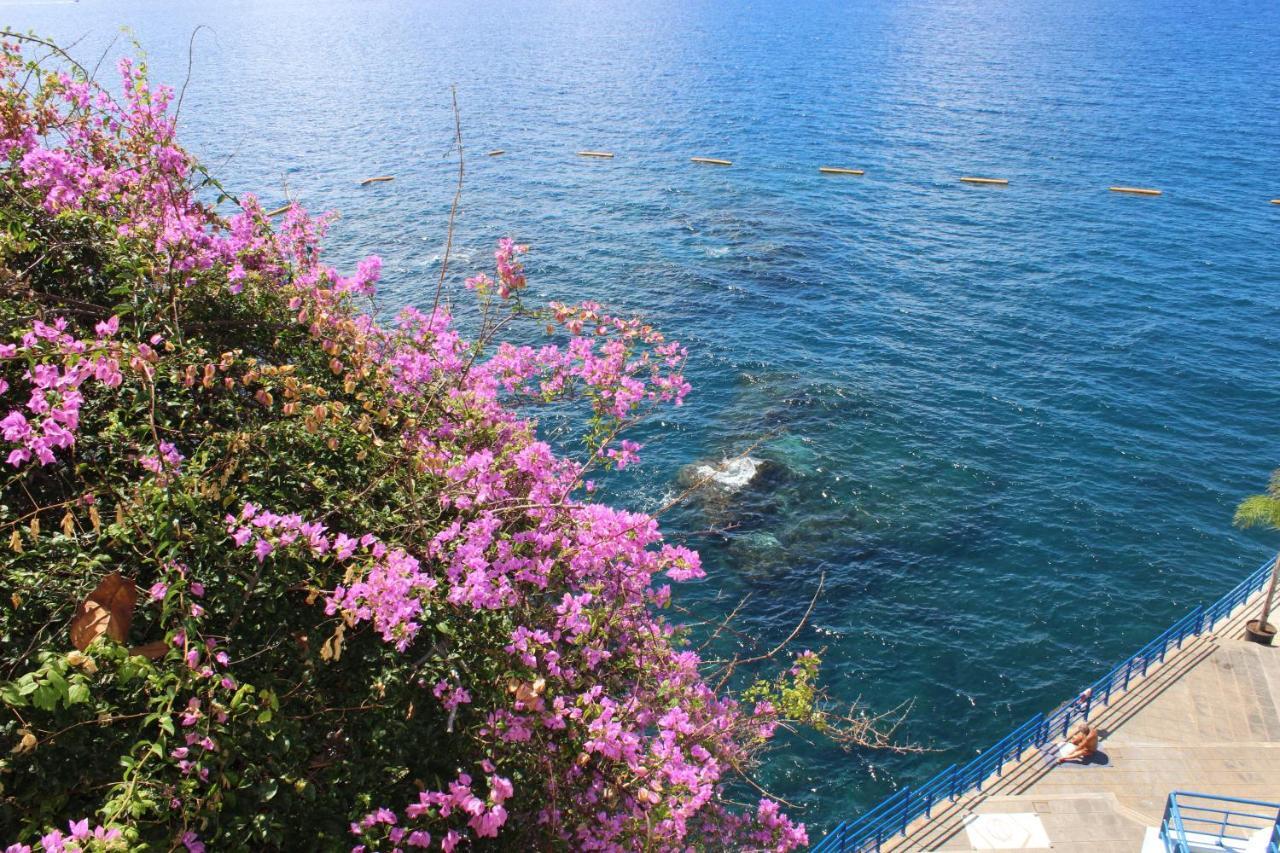 Apartments Madeira Old Town Funchal  Eksteriør bilde